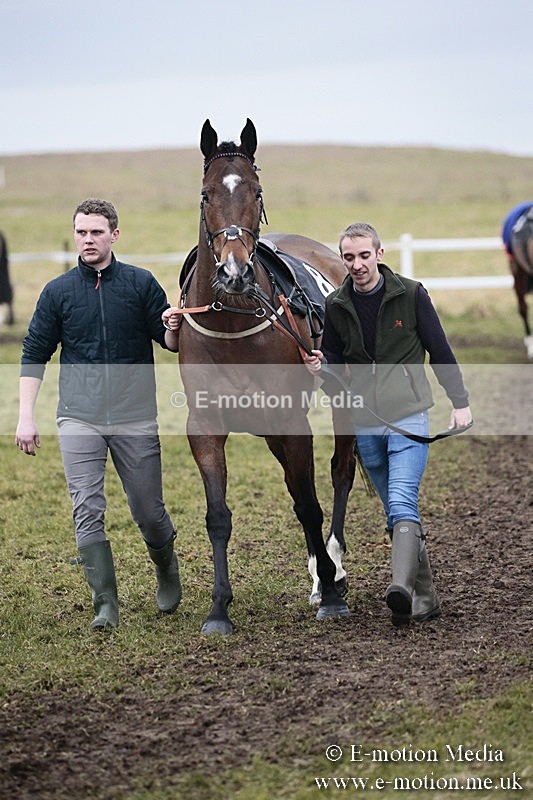 PtP 180218 692 - Combined Services Point-to-Point Larkhill 18/02/18