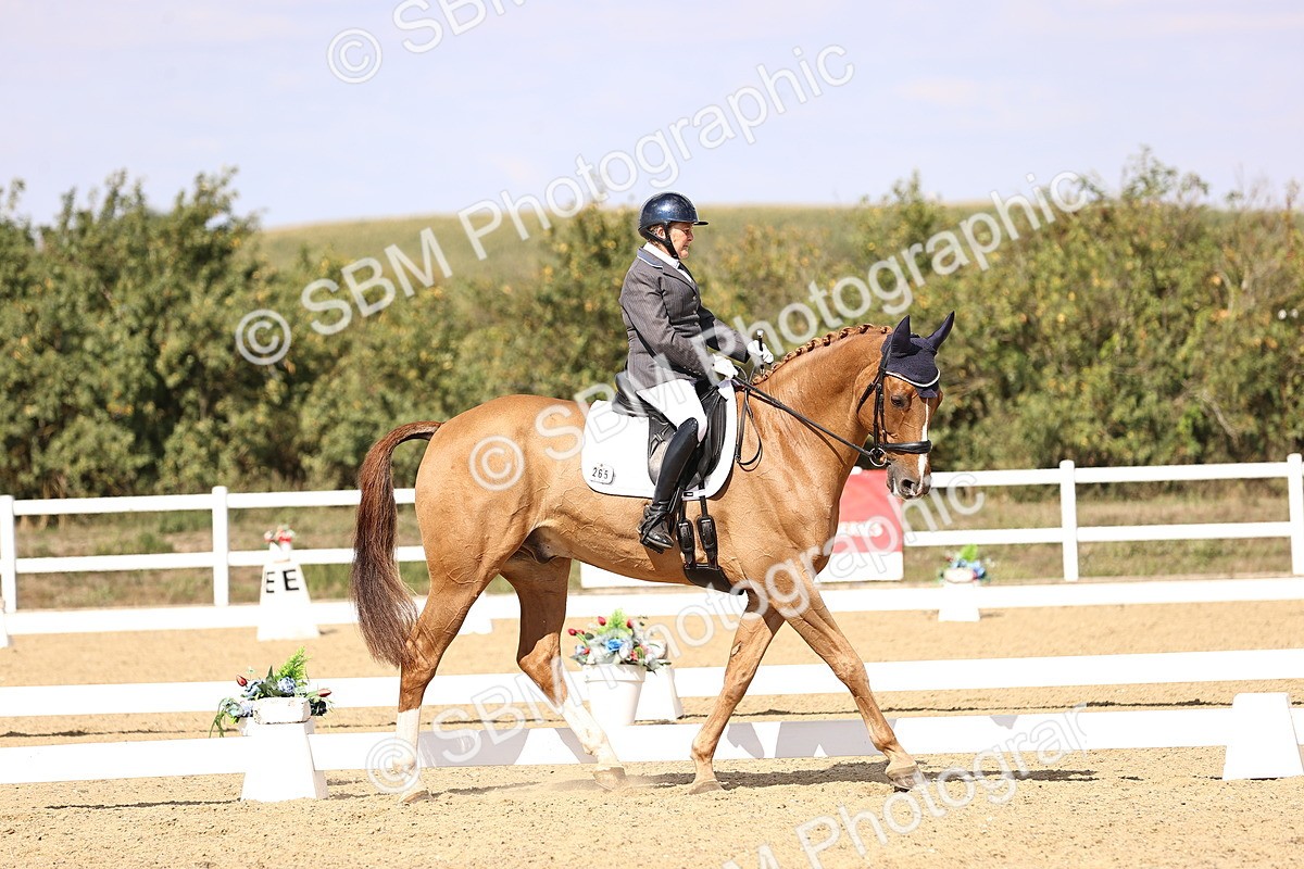 SBM_015085 - Class 6 - Elementary 5