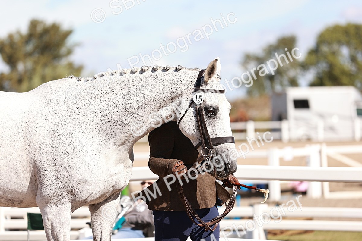 SBM_13276 - class 406 - IH Hunter