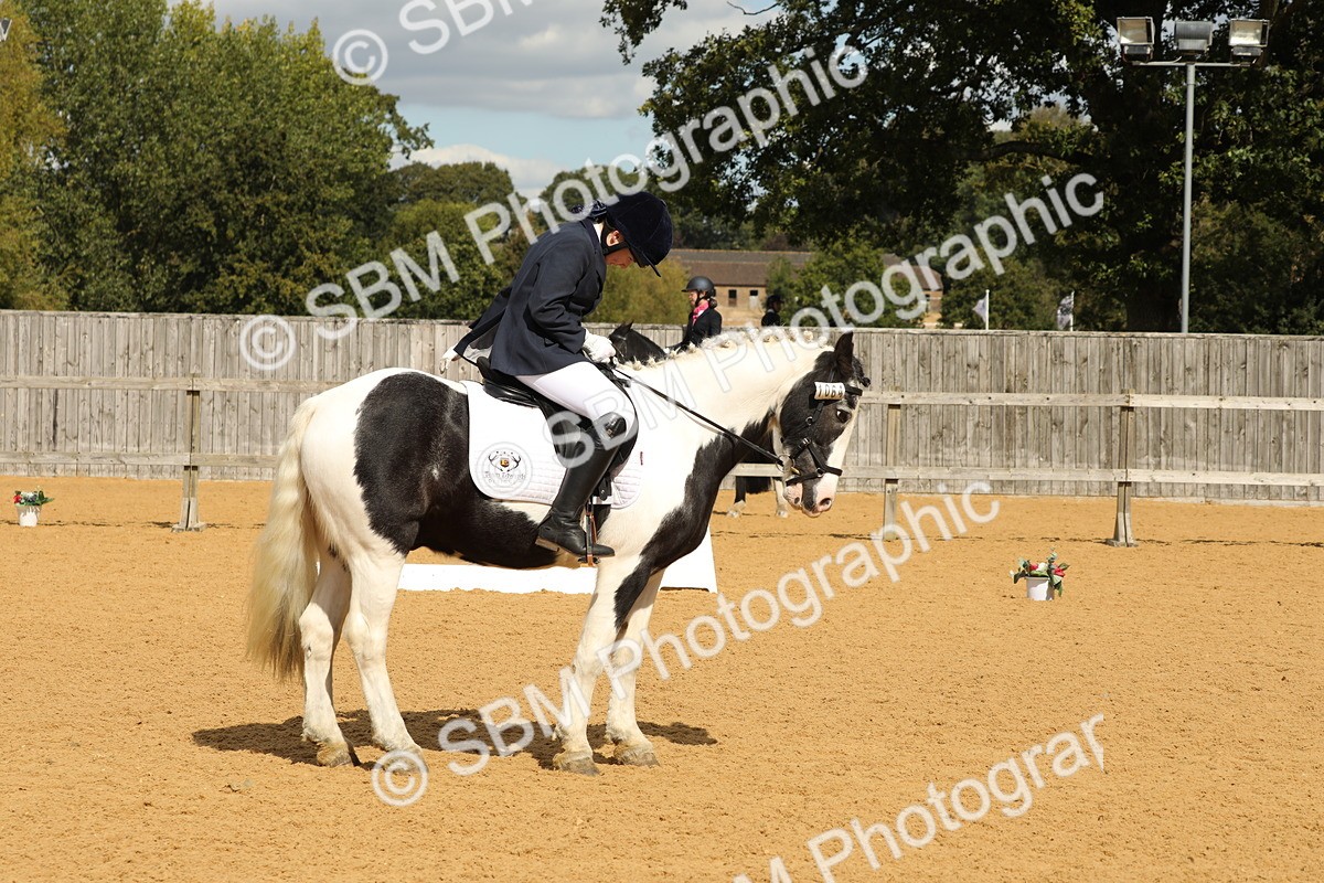 SBM_41925 - D21 - Junior Championship - Intro A