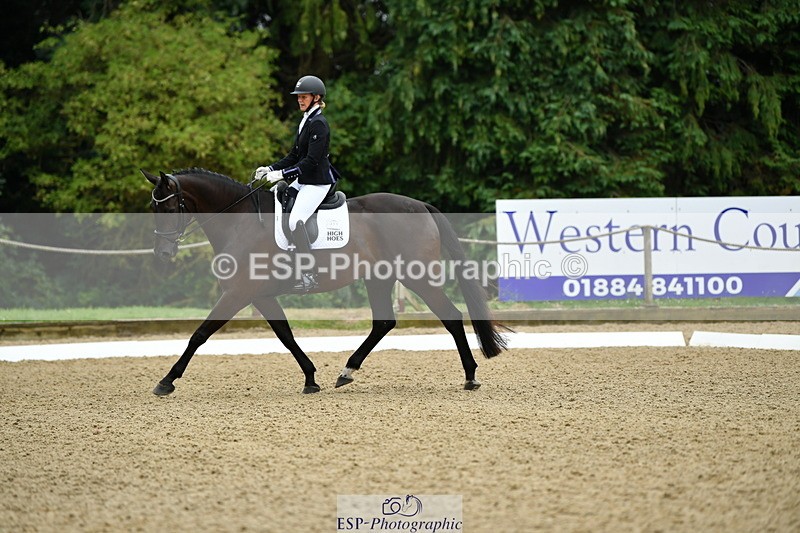 250718A-103558-00197 - 061-Louise.Christie-High.Hoes.Dandelion