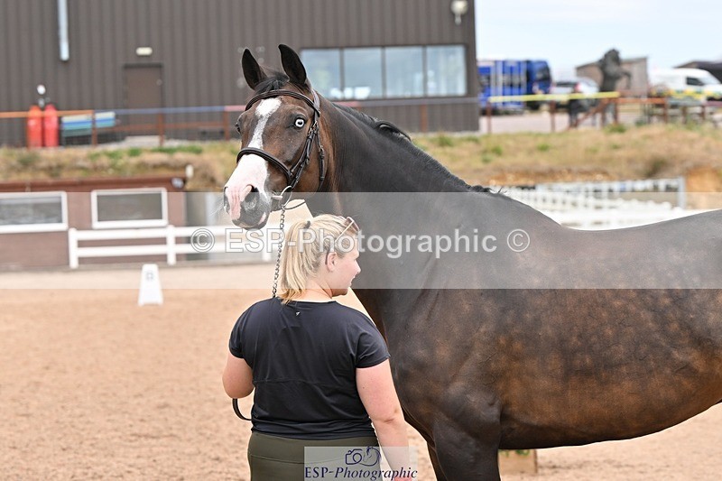 250716-144642-01387 - Trot Up 2.30 to 3.30