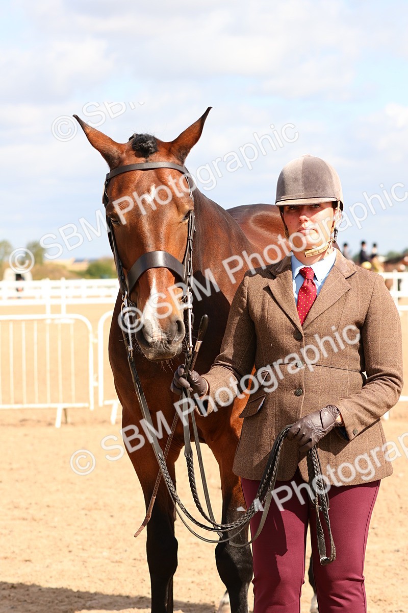 SBM_11742 - Class 208 - IH Veteran Horse
