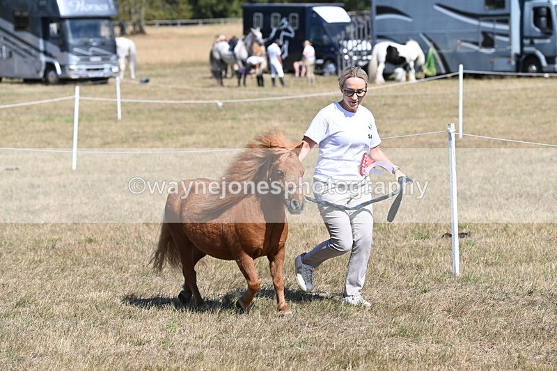WJ6_9217 - Championship Classes 33-38