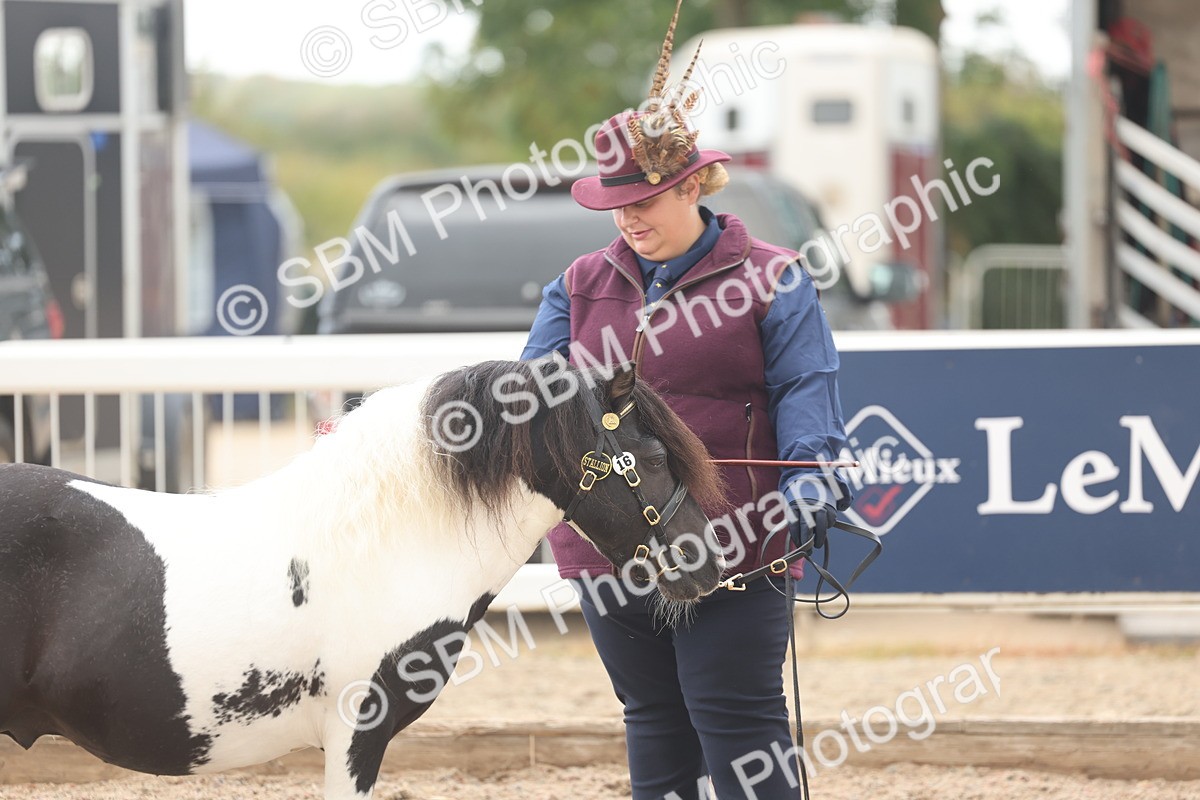 SBM_03265 - Class 16 - IH M&M Wildcard