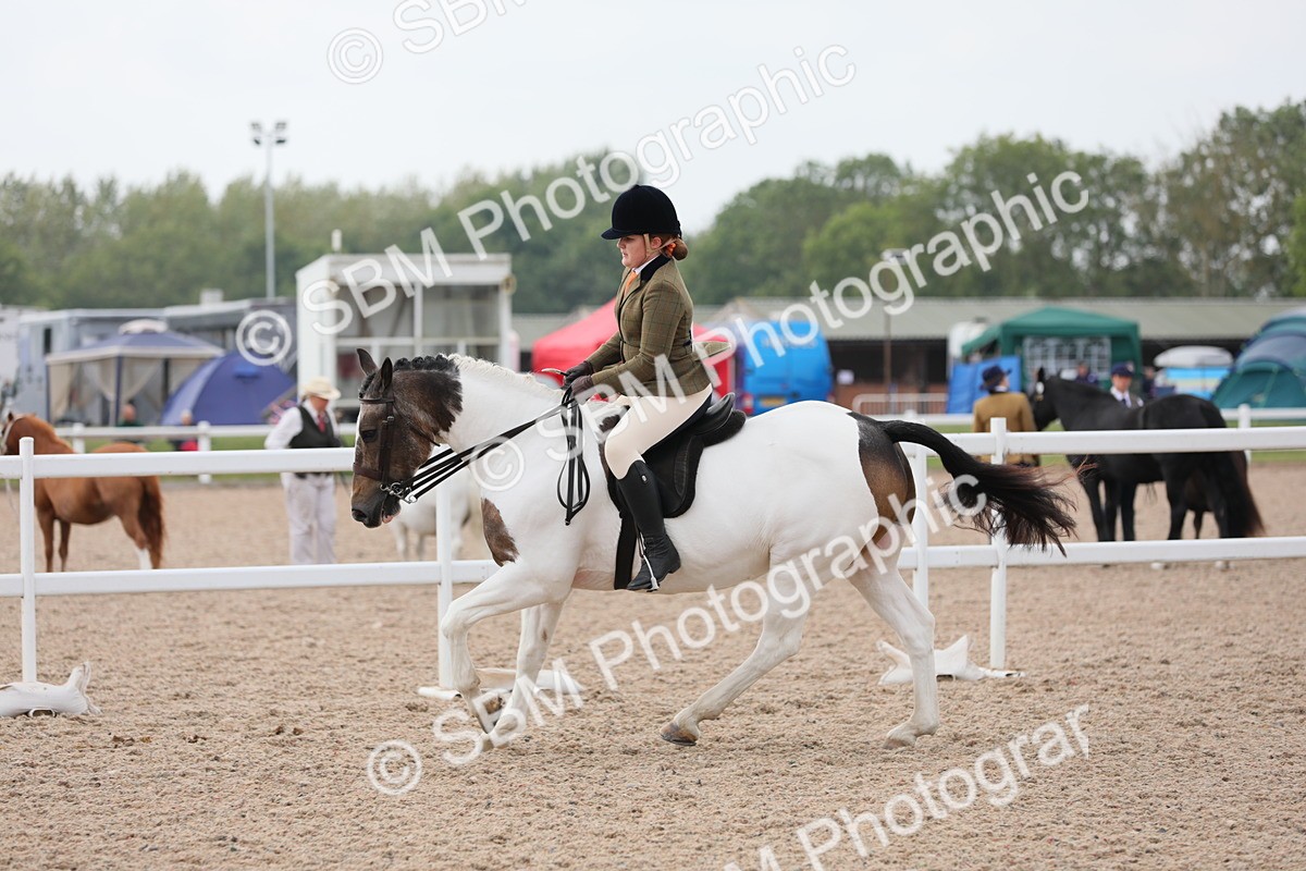 SBM_12727 - Class 307 Ridden Coloured Pony