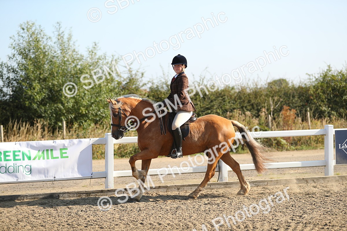SBM_01143 - Class 42 Ridden Veteran