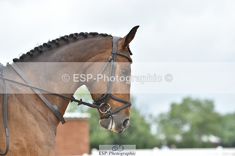 250622-143544-15666 - UnA Cls 3+4 Prelim 1+2