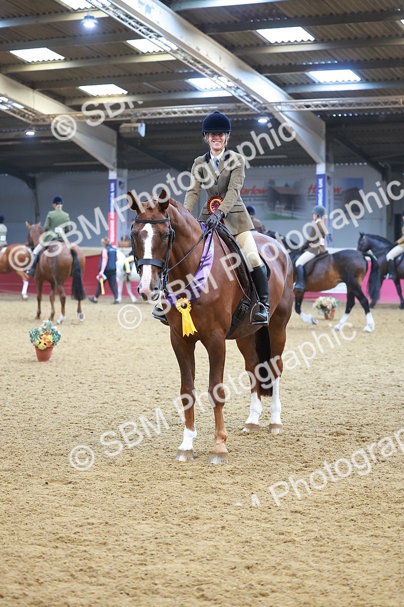 SBM_12696 - Class 103 - HOYS Veteran Qualifier - Ridden Pre Vet