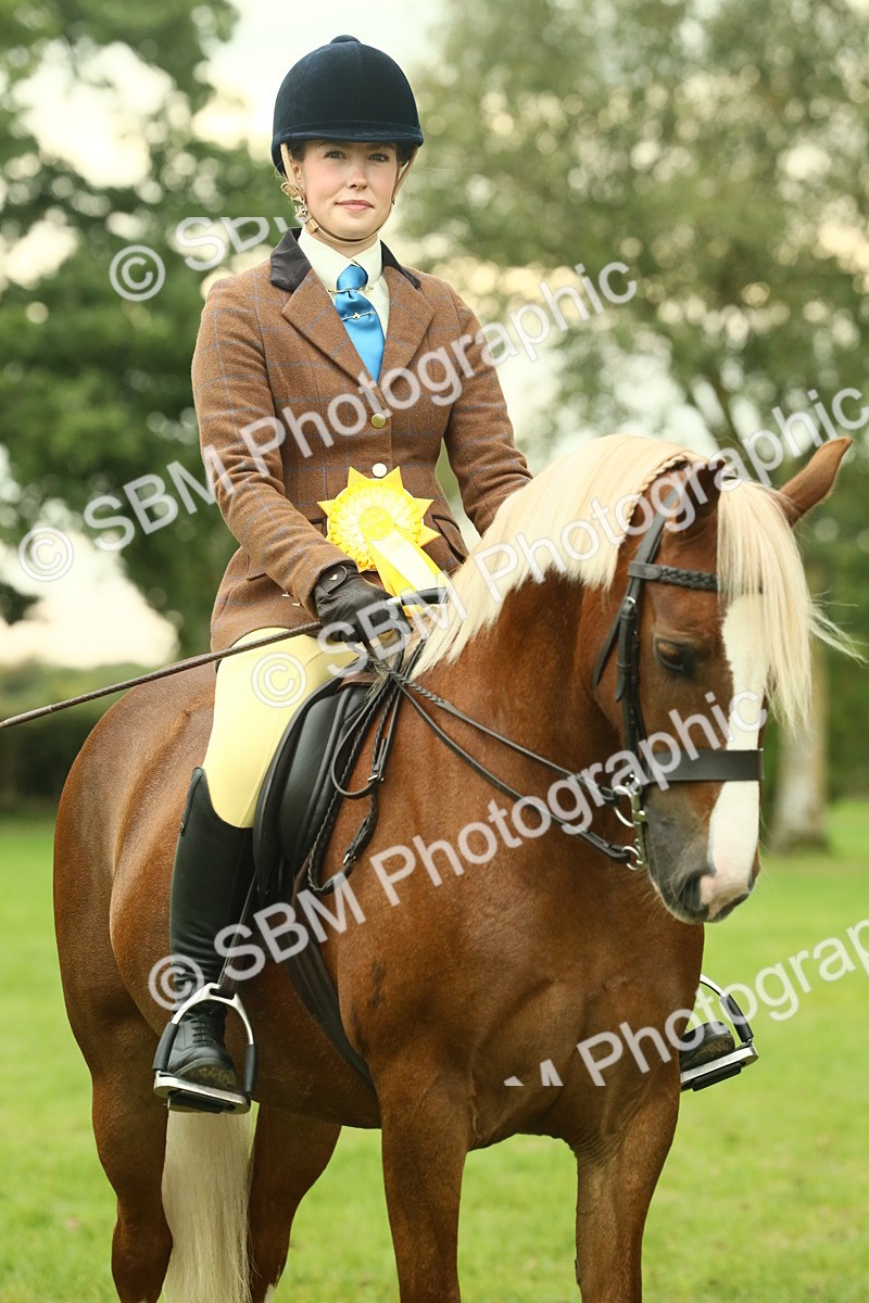 SBM_72320 - S60 - Mountain & Moorland Ridden Large Breeds