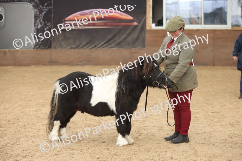 20251109-0394 - Class 15 - Coloureds