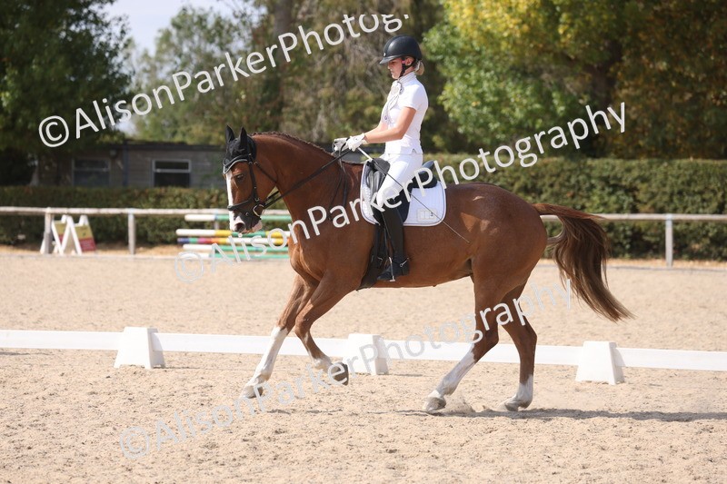 20260815-1150 - Class 6 - Novice 2