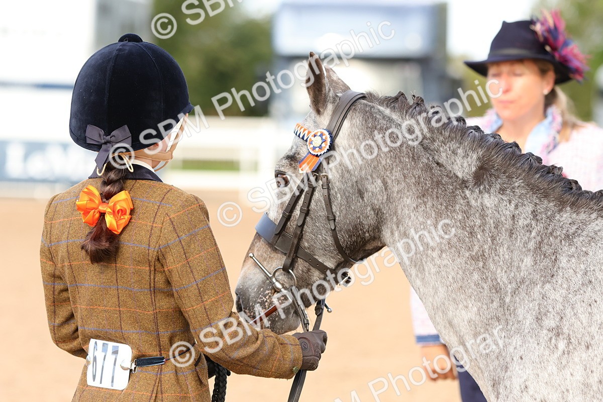 SBM_09207 - Class 204 - Young Handler