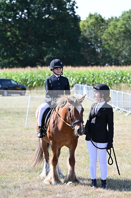 WJ7_3161 - Class 8 Ridden Tack & Turnout