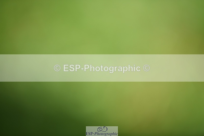 240605-111426-00738 - Cls 2 Prelim 19 SQ