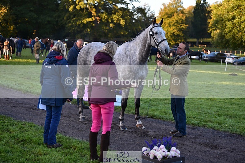 231022-083556-21249 - 681-CAPPA.OREO-Will.van.Ufford-TrotUp+SJ