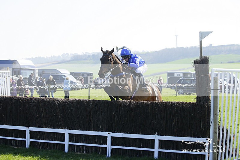 PtP 190322 221 - Wilton Hunt PtP Milborne St Andrew 19/03/22
