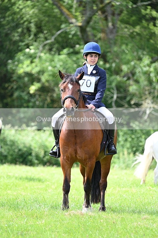 WJ7_1379 - Class 11 Condition & Turnout