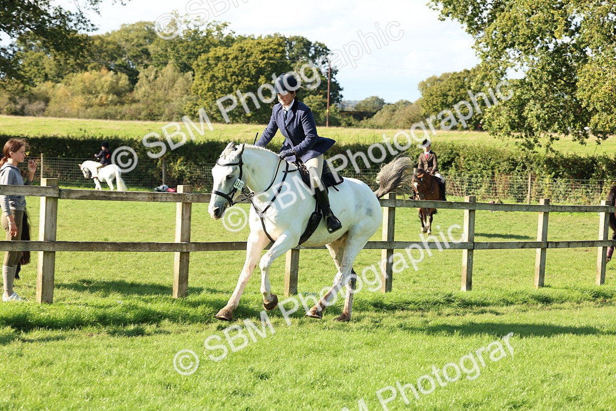 SBM_50097 - S34 - Novice & Newcomers Working Hunter