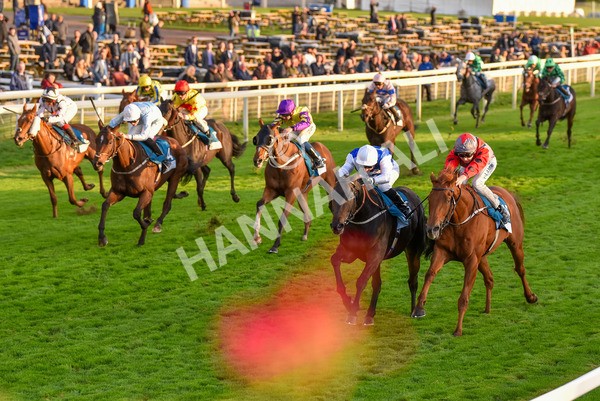 131023-Race 7-Thunder Roar-0141 - Race 7 5.35pm Visit Irish Bloodstock Sales With ITM Apprentice Handicap