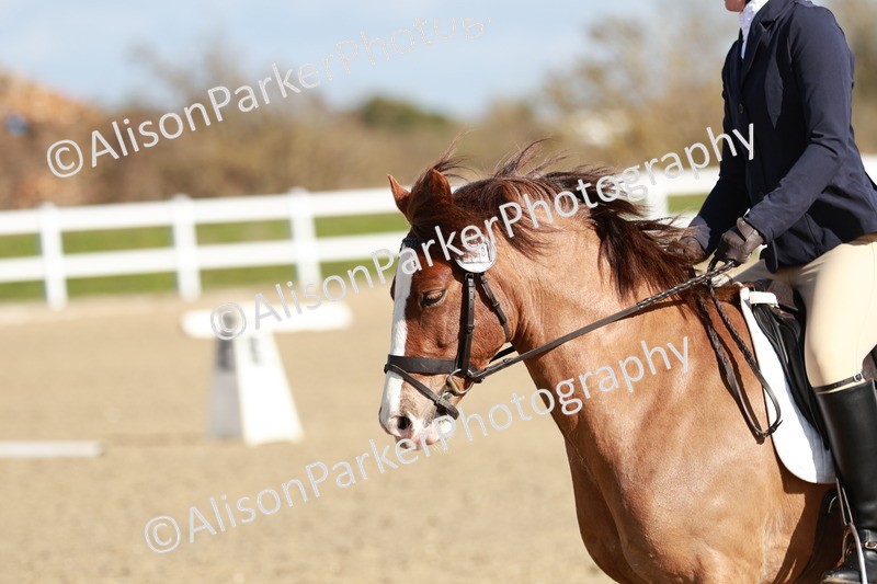 20260314-4293 - DR4 - Prelim 2