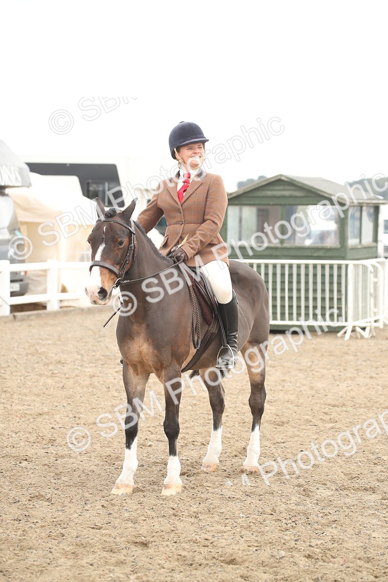 SBM_17926 - Class 508b - Working Veteran 70cm (20+)