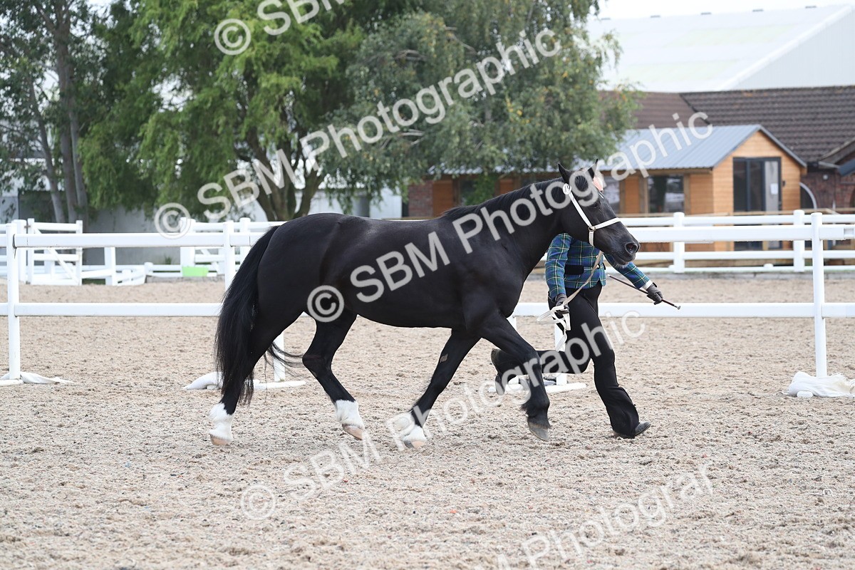 SBM_23293 - Class 606 - 2025 Area - IH Pre Vet