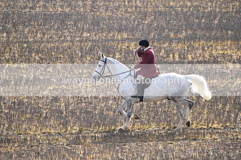 WJ6_8591 - Meet & Line One