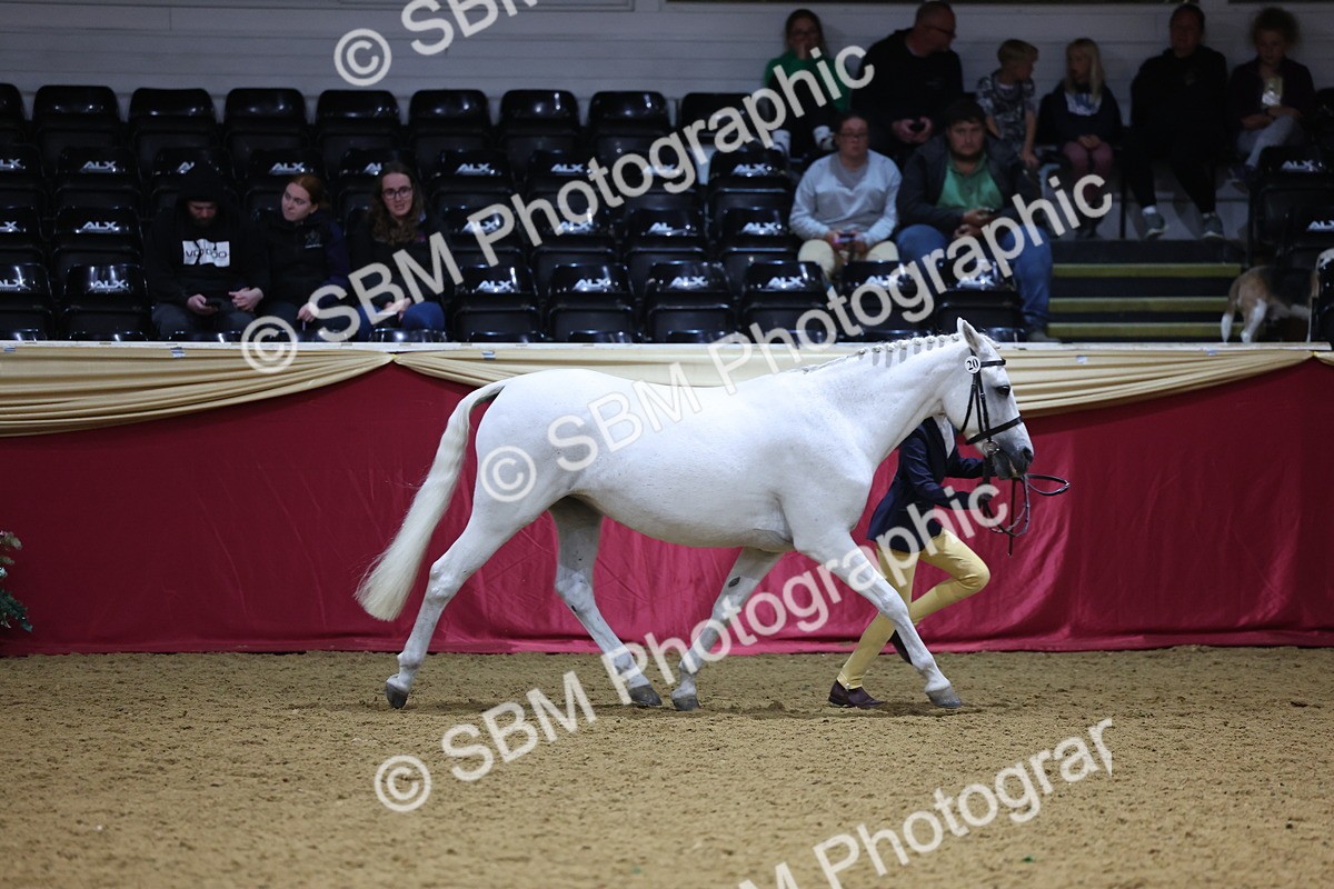 SBM_18461 - Class A Junior Champ 10 Years and Under