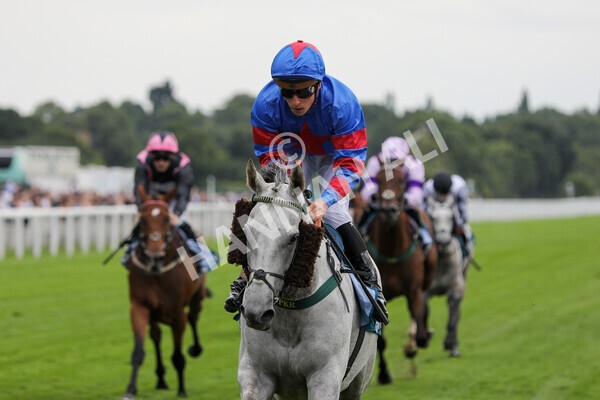 yr23072022r5-29 - Race 5 4.25pm Sky Bet UK's No1 Betting App Stakes