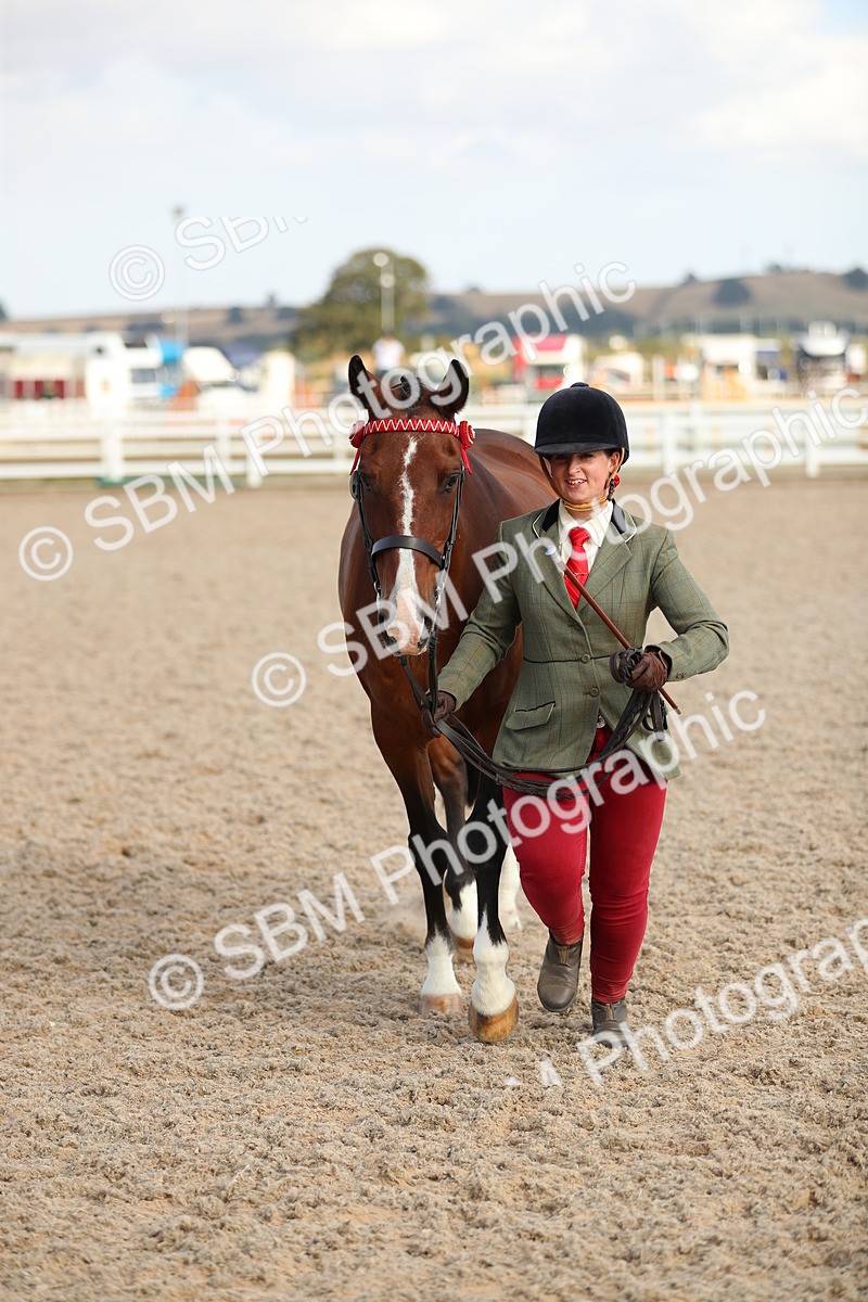SBM_08632 - Class 28 - IH Veteran Horse