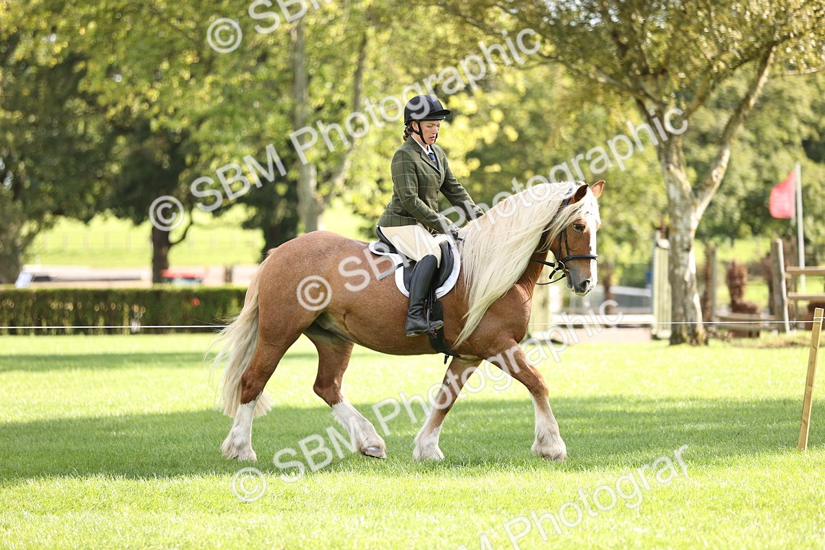 SBM_26357 - S6 - Novice & Newcomers Ridden Horse