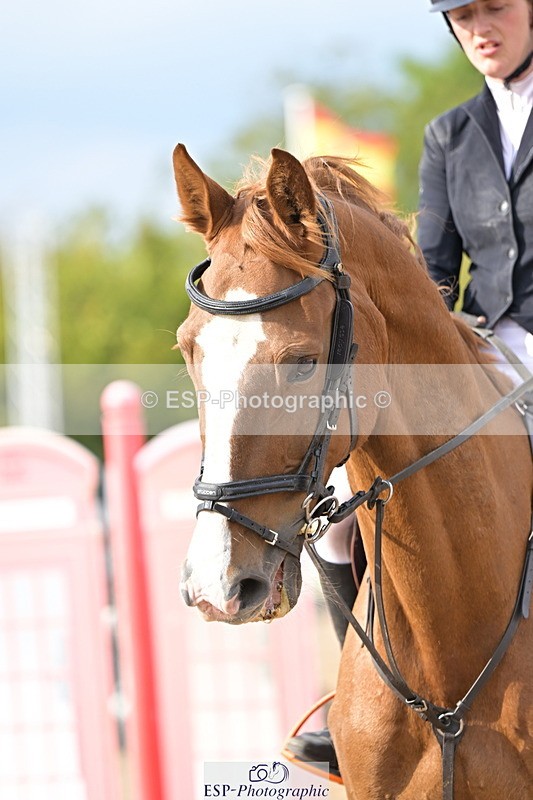 241004A-150228-02639 - Fri 12 1.15m Members Cup