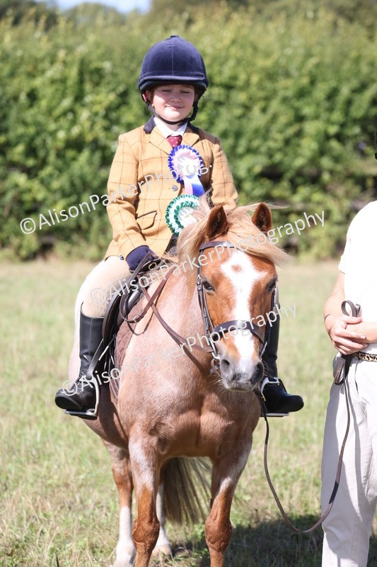 20260906-2331 - Class 16 - Family Pony