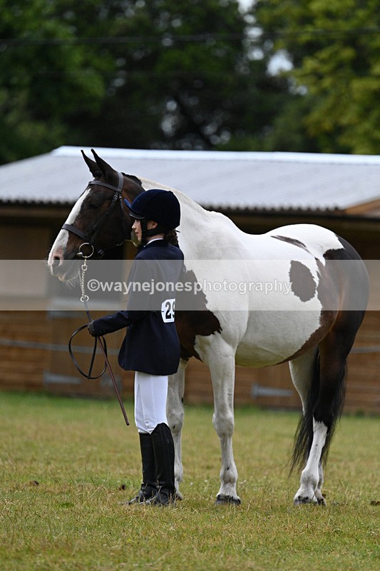 WJ7_6307 - Class 4a Prettiest Mare over 14hh