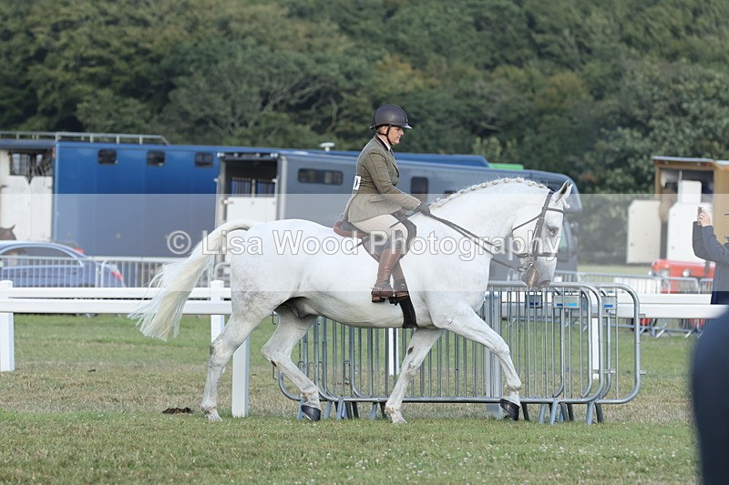 JPP_3510 - Class 22: Working Hunter 90cm