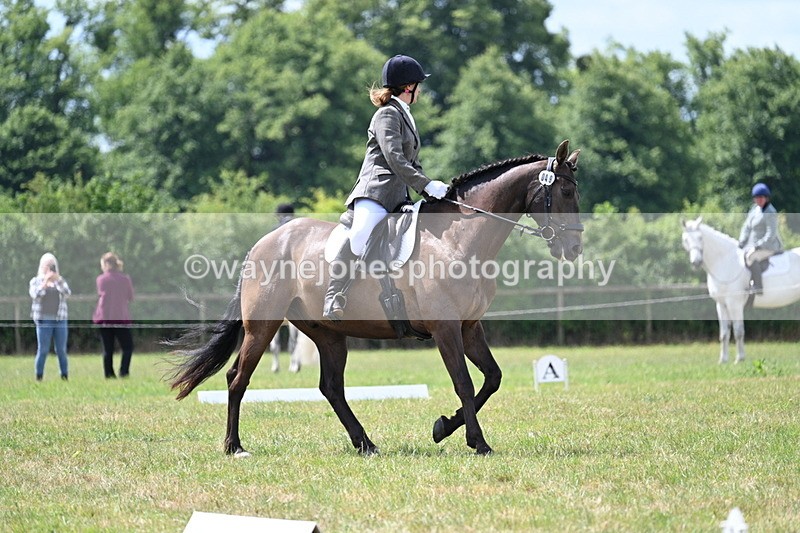 WJ7_4845 - Time 11:22 to 11:51