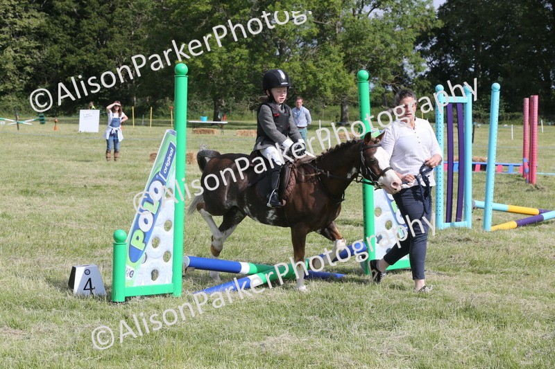20260614-0071 - Class 1 - 30cm Lead Rein