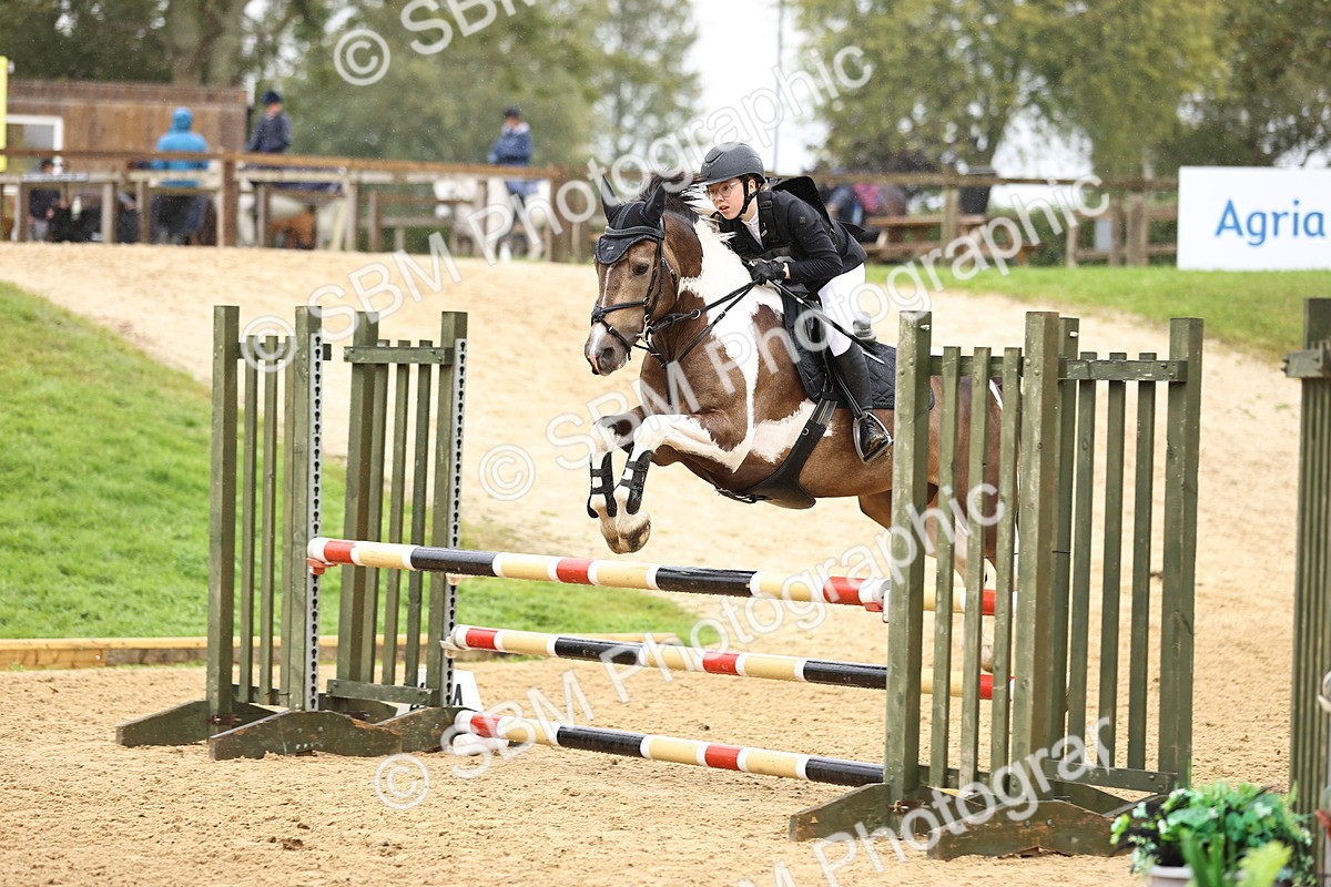 SBM_70004 - Supreme Championship 80cm 85cm