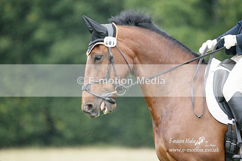 BVRC 030721 652 - Bourne Valley Riding Club Dressage 03/07/21