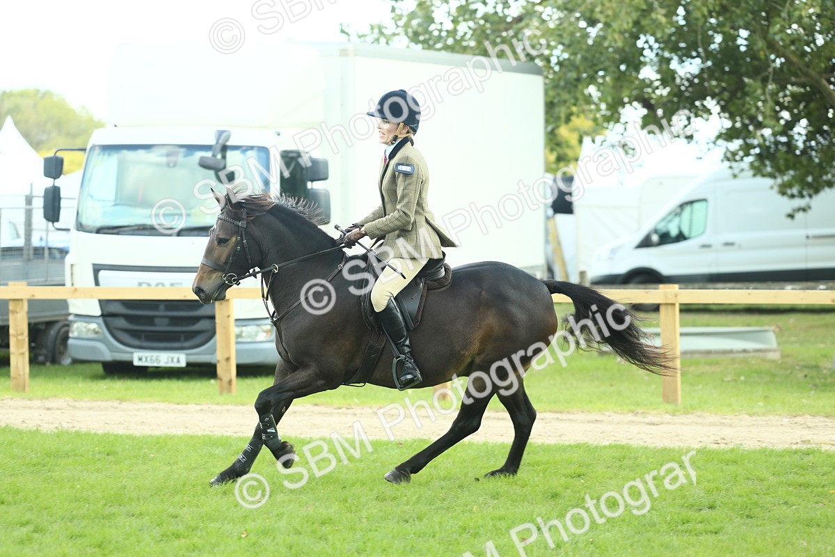 SBM_42912 - S30 - M&M Working hunter Pony