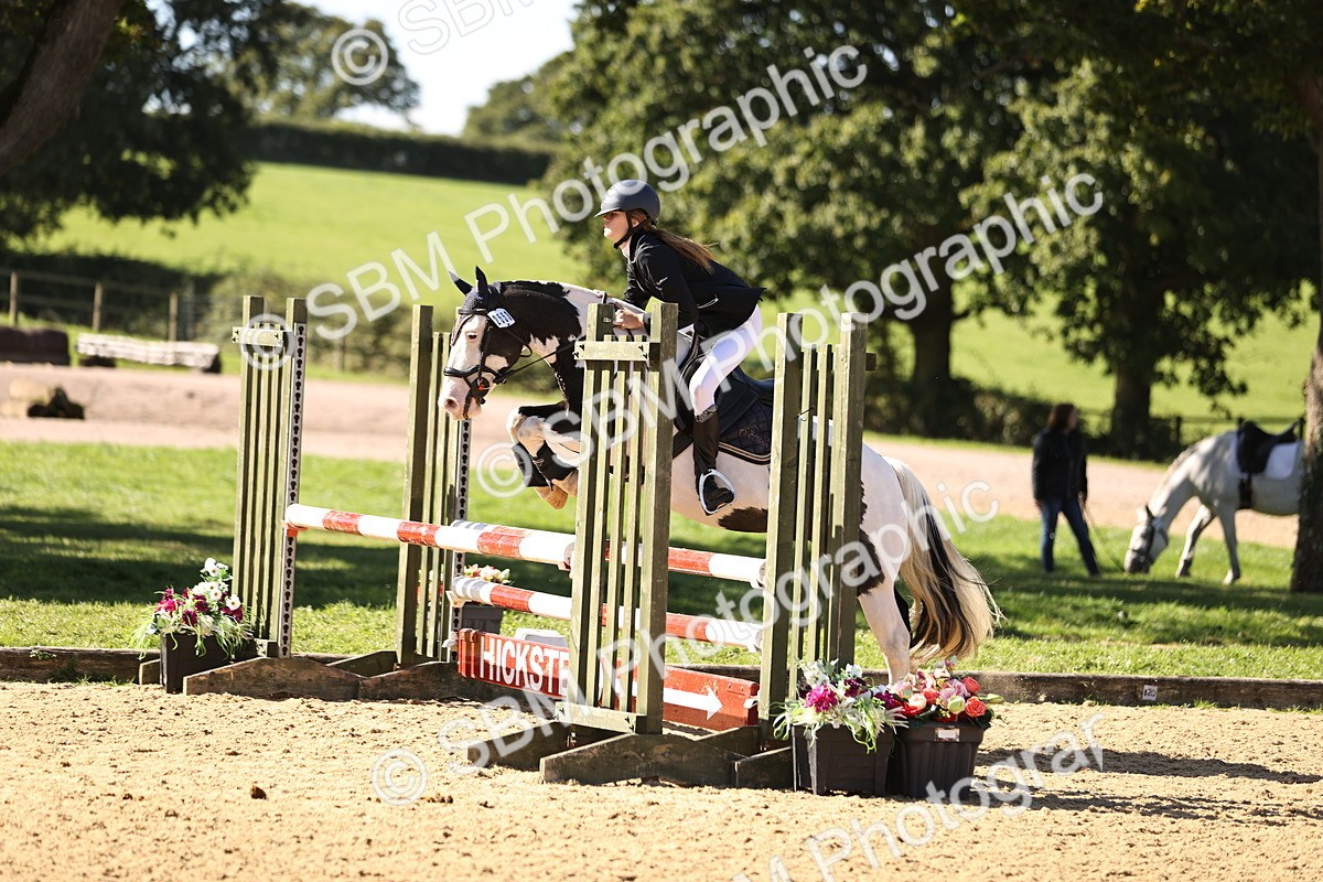 SBM_38500 - J39 - Senior 85cm Championship