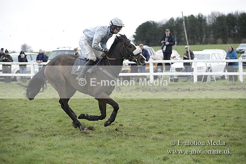 PtP 150320 0498 - New Forest Point-to-Point Larkhill 15/03/20