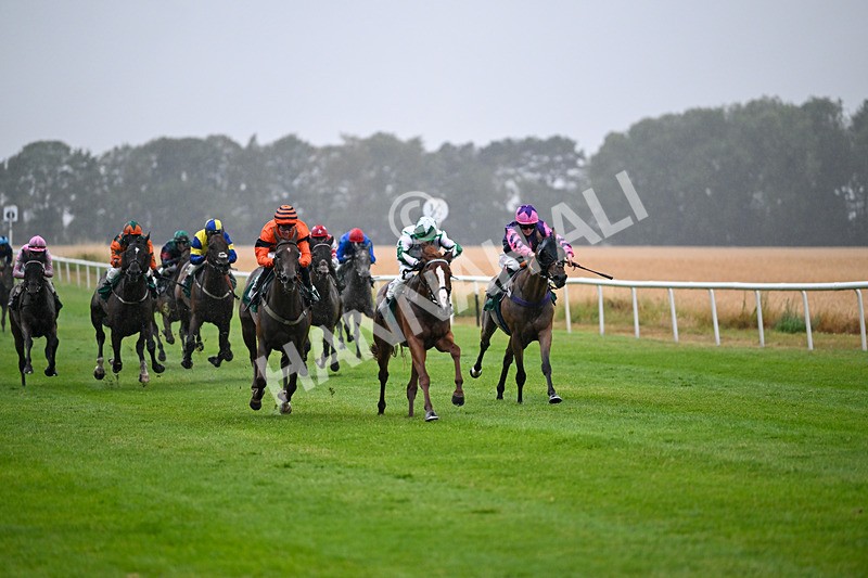 150725-Race 3-The Kamikaze King-6732 - Race 3