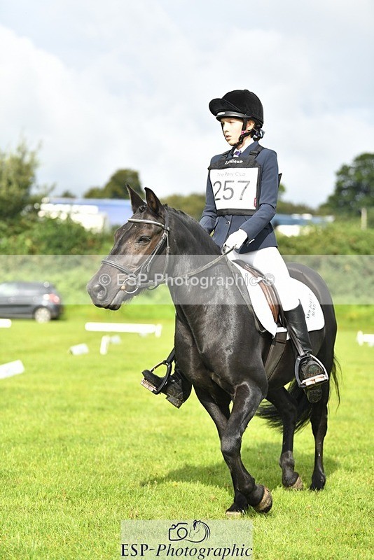 230826-094658-15230 - Sections C & D 9 to 10am