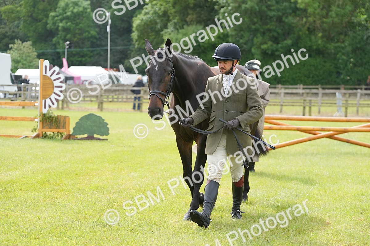 SBM_12753 - Class 97-98 - LIHS BSHA Rising Star Working Show Horse Hunter
