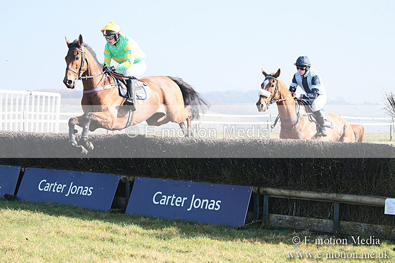 PtP 230219 286 - Vine & Craven Point-To-Point - Barbury 23/02/19
