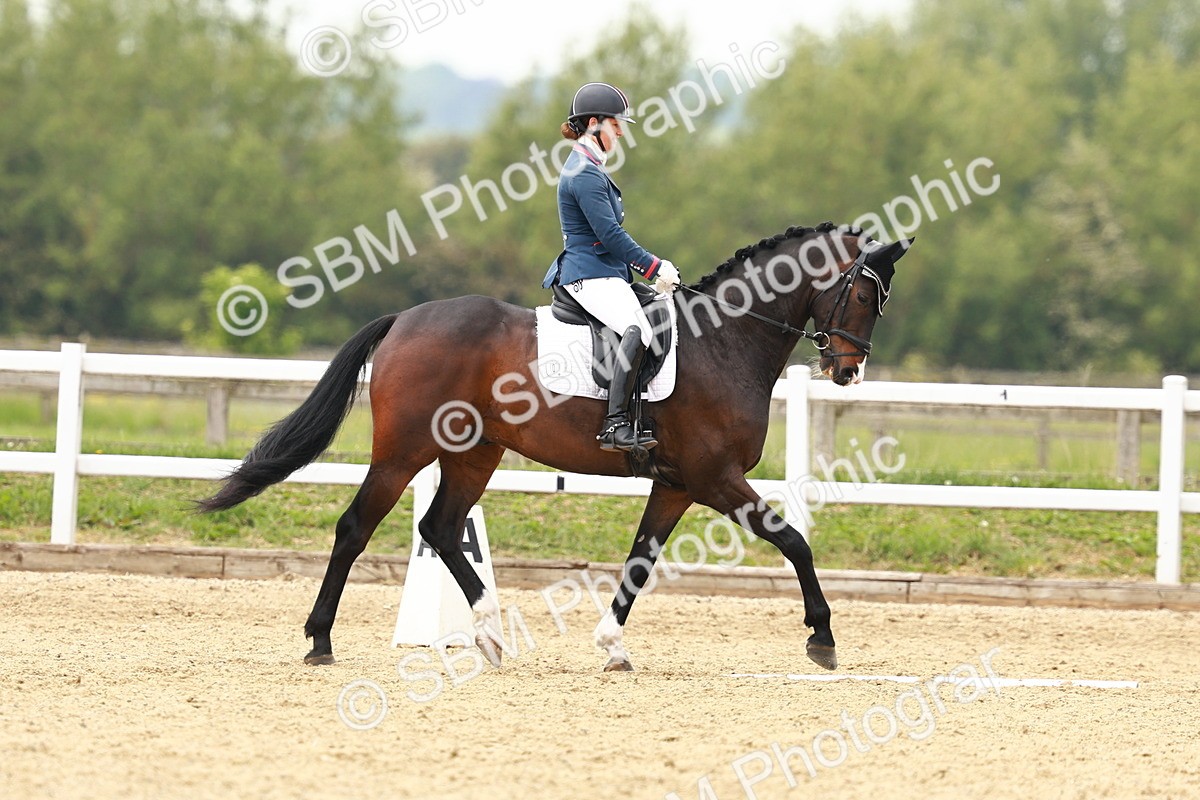 SBM_002625 - Class 12 - Medium 4