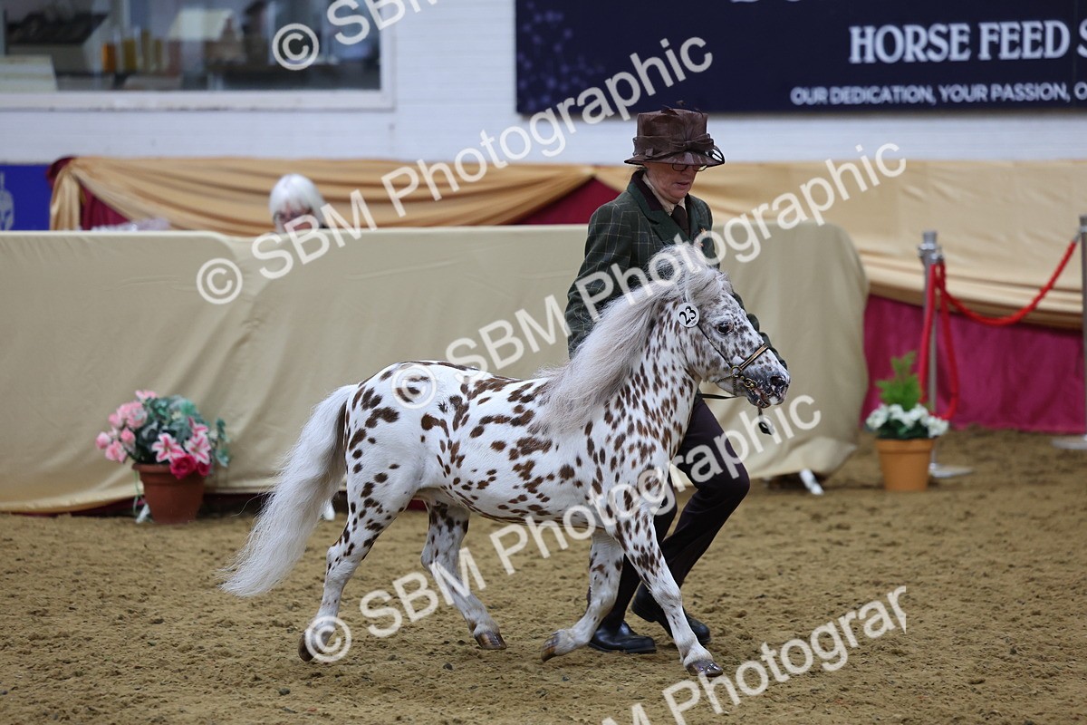 SBM_20897 - Class 902 - Supreme Final IH Veteran