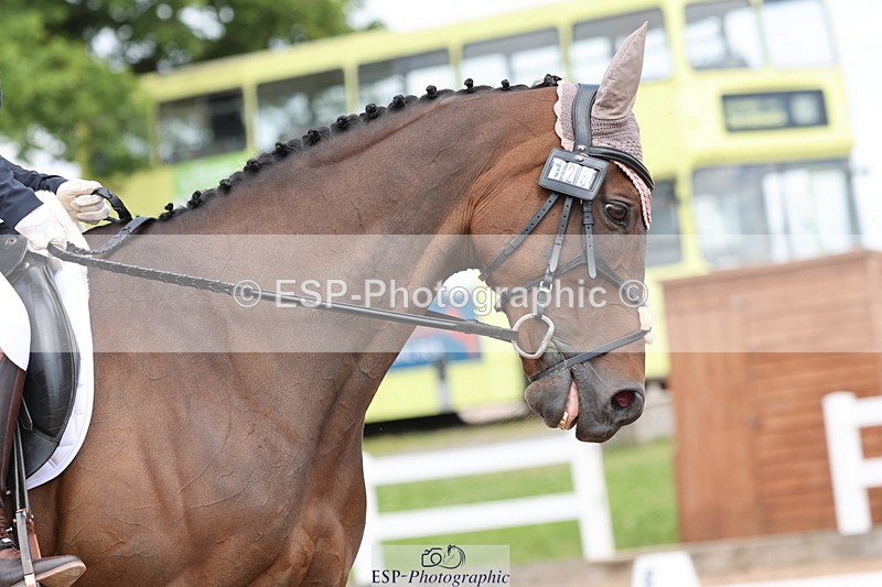 240622A-143910-13338 - Cls 15 Team Quest Intro B